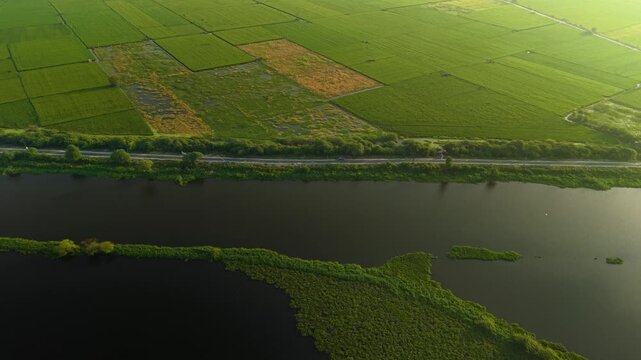 Revealing aerial drone shot of lush green farmland and a tranquil water body on the outskirts of Delhi, India, captured at sunrise during the monsoon season.