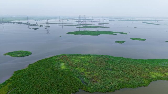 Aerial drone shot wide panning shot capturing green agricultural fields and a calm water body, power cables running through the frame, monsoon sunrise near Delhi, India.