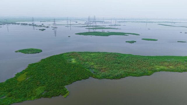 Aerial drone shot wide panning shot across rich monsoon farmland with a water body and visible power lines, captured during sunrise in the outskirts of Delhi, India.