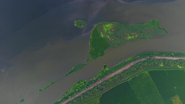 Aerial top down shot showcasing vibrant monsoon farmland with a reflective water body and power lines crossing above, glowing in the soft sunrise light near Delhi, India.