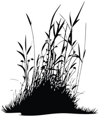 grass leaf plant 14 svgrepo com