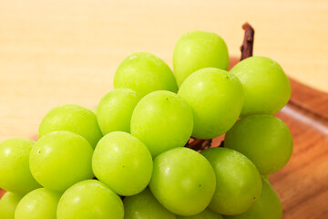 シャインマスカット　Shine Muscat (Green Seedless Grapes)