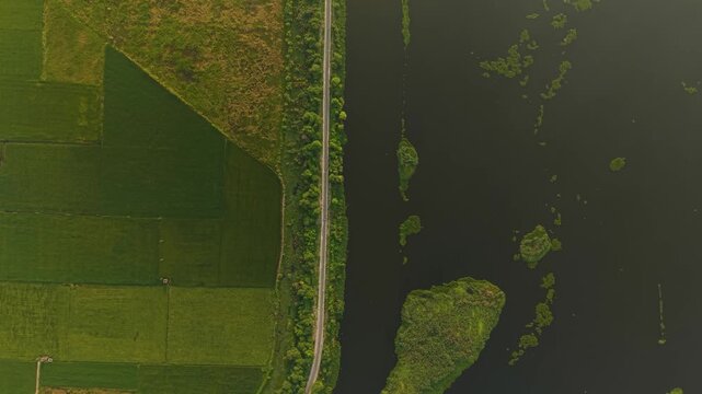 Aerial top down shot of fertile monsoon farmland beside reflective water body, crossed by power lines, captured at sunrise in the countryside near Delhi, India.
