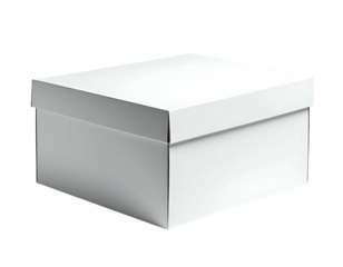 A white, rectangular cardboard box, closed and in perspective