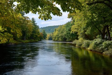 Serene river amidst lush green forest and rolling hills under cloudy sky