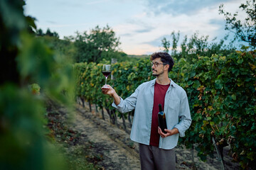 Young winemaker examines glass of red wine and bottle among sunlit vineyard rows at sunset, thoughtful and expert tasting