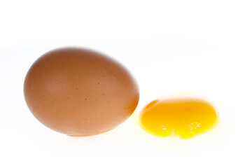 The egg is white background