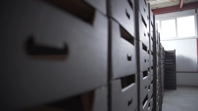 Tall stacks of new, black cardboard boxes with handle cutouts fill a storage warehouse. Ready for shipping or production in a logistics or agricultural facility.