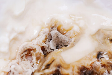 Close-up view of organic texture showcasing intricate details and patterns