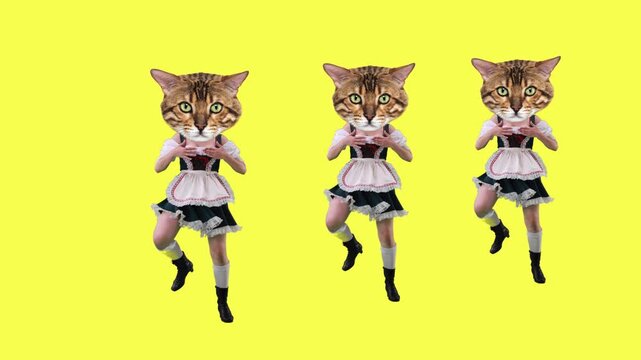 Motion graphic video. Women in dresses with cat heads dancing on yellow background. Concept of Oktoberfest celebration, surreal humor, lifestyle branding, and festive visuals.