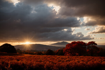 beautiful landscape of autumn forest at sunset, yellow trees and sunlight
