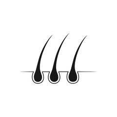 : Hair follicle diagram in skin cross-section vector illustration showing three hair follicles embedded in the scalp. Useful for educational materials, dermatology, and hair care graphics.