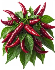 A vibrant cluster of dark red chili peppers, still attached to their green stems and leaves, arranged against a stark white background