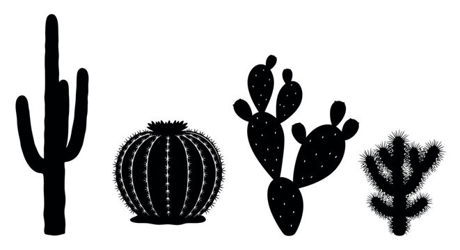 Collection of diverse desert cactus silhouettes in black and white representing various species and shapes isolated on transparent background