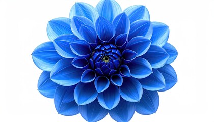 Vibrant blue dahlia bloom, isolated on white, showcasing intricate petal layers and a dark blue center