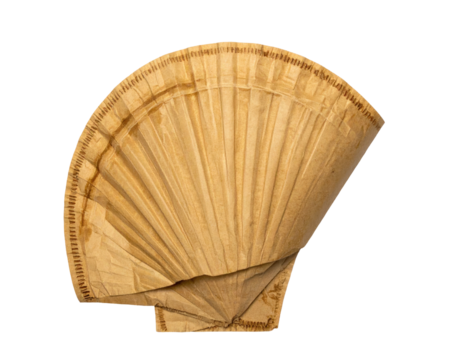A light beige, fan-shaped object, resembling a seashell.  Detailed ribs radiate outward