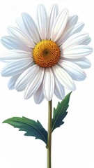 Naklejka premium A single, meticulously rendered daisy with crisp white petals, a vibrant yellow center, and two dark green leaves on a slender stem, set against a stark white background