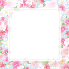 Apple blossom frame/background(vector)