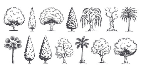 Minimal CAD Tree Line Drawing Set – Side View Tropical and Oak Trees – Vector Outline Symbols for Architecture and Landscape Design – Stroke Illustration on White Background