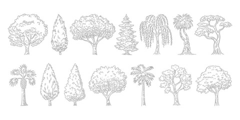 Minimal CAD Tree Line Drawing Set – Side View Tropical and Oak Trees – Vector Outline Symbols for Architecture and Landscape Design – Stroke Illustration on White Background