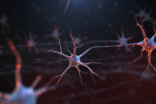 3D medical illustration showing leucovorin molecules crossing the blood-brain barrier and interacting with neurons, highlighting neural protection and therapeutic impact on brain tissue