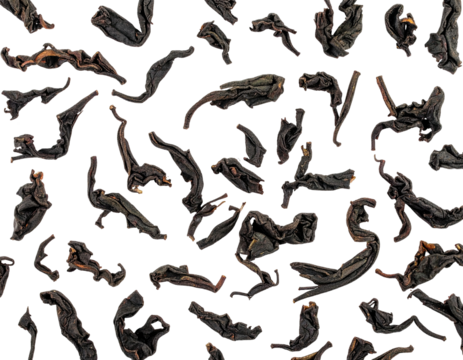 Dried tea leaves scattered, dark brown, irregular shapes