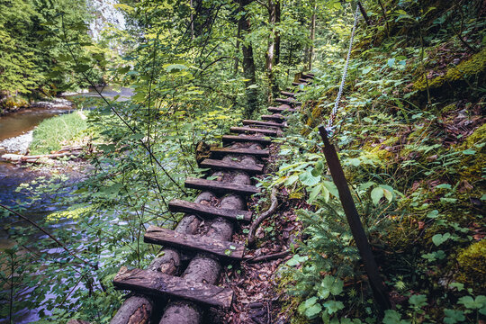 Wooden steps, part of Hornad Gorge tourist trail in Slovak Paradise park located in Ore Mountains, Slovakia