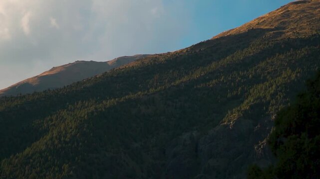 Landscape shot of Himalayan mountain range with Juniper trees during the sunset in autumn season as seen from Keylong in Lahaul and Spiti district, Himachal Pradesh, India. Scenic view of mountains.