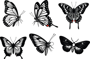 Butterfly silhouette, wing pattern, black and white design, red spot detail, insect vector, nature icon, flying pose, decorative graphic, elegant shape, symmetry art