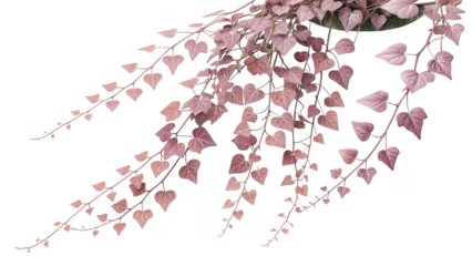 abstract floral background