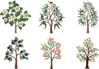 Naklejka premium Botanical tree illustration, flowering trees, fruit trees, seasonal foliage, vector plant set, nature clipart, garden flora, educational graphic, stock art