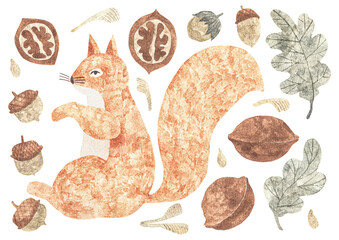 Watercolor illustration. Squirrel with autumn leaves and nuts. Handpainted woodland composition on white background.