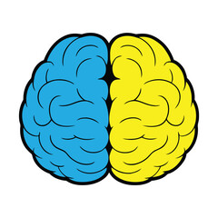 Creative Blue and Yellow Human Brain Vector Illustration, brain, anatomy, intelligence