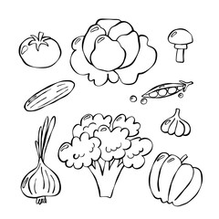 Set of fresh uncooked vegetables. Good for textile, surface design, wallpapers, kitchen vibes, vegetarian posters, menu and recipes
