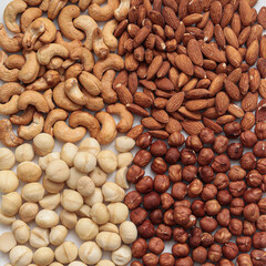Types of nuts macadamia, cashew, hazelnut, almond