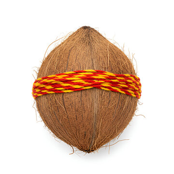 ultra realistic whole dry coconut with red yellow sacred mauli thread isolated on white