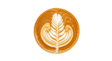 latte art coffee cup foam design 4.