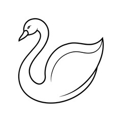 black swan vector illustration