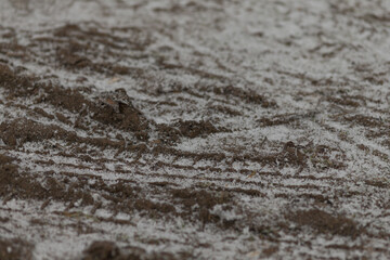 Car tire tracks on frozen ground in winter, showing visible tread patterns in snow and ice.