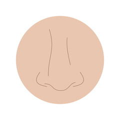 human nose. sense of smell. body parts. health theme. vector illustration