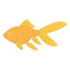 Fancy goldfish. Ornamental fish. Freshwater fish. Animal theme. Vector illustration