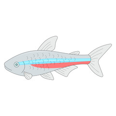 Neon tetra fish. Ornamental fish. Freshwater fish. Animal theme. Vector illustration