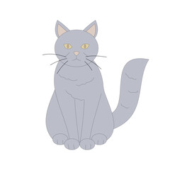 gray cat. Pet. Animal theme. Vector illustration