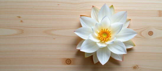 Fototapeta premium White lotus flower yellow center white petal calm floral arrangement on wood table