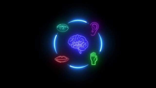 Neon brain surrounded by glowing icons of human senses sight hearing taste touch in a circular motion on black background conceptual representation of sensory perception and cognition