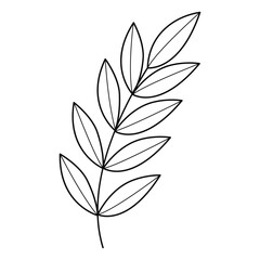 Hand drawn graceful leafy branch. Botanical nature icon of branch with leaves. Black outline drawing, doodle sketch style foliage, vector element.