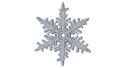Detailed Snowflake Macro Photography on Transparent Background macro