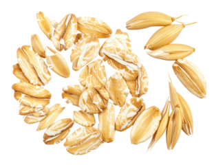 Close-up of scattered oat grains, light golden brown with white interiors, arranged in a cluster