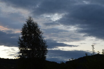 Ciemne chmury za drzewem © Ewa