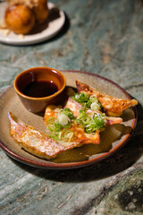 Japanese pan fried gyoza dumplings beautifully arranged on a rustic plate, topped with fresh scallions, served alongside a rich dipping sauce on a dark marble table